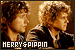LOTR - Merry + Pippin: 