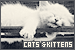 Cats: 